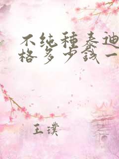 不纯种泰迪犬价格多少钱一只