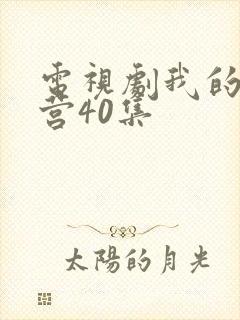 电视剧我的特一营40集