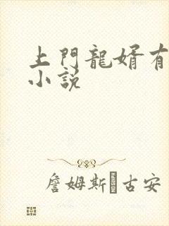 上门龙婿有声听小说