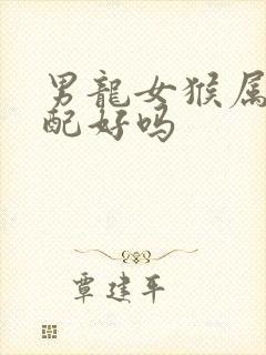 男龙女猴属相婚配好吗