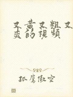 又黄又粗又长又爽的视频