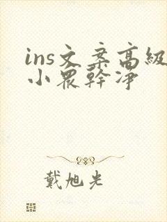 ins文案高级小众干净