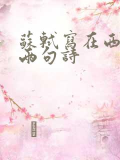 苏轼写在西湖的两句诗