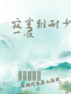 寂寞难耐少妇的一夜