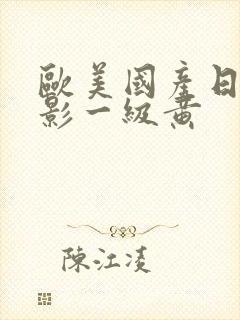 欧美国产日韩电影一级黄