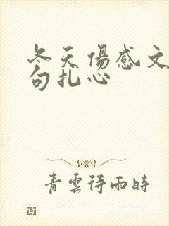 冬天伤感文案短句扎心