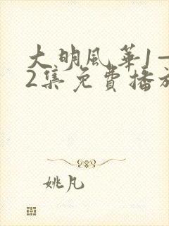 大明风华1—62集免费播放下载