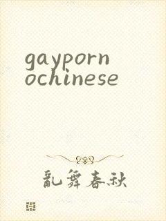 gaypornochinese