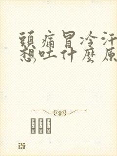 头痛冒冷汗恶心想吐什么原因