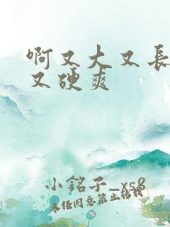 啊又大又长又粗又硬爽