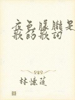 夜色朦胧是哪首歌的歌词