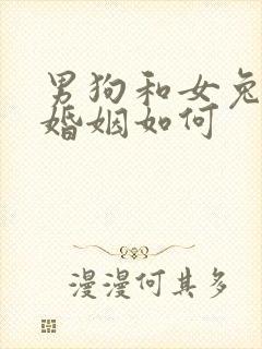 男狗和女兔相配婚姻如何