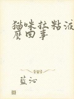 猫咪拉粘液是怎么回事