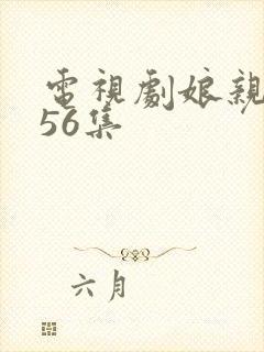 电视剧娘亲舅大56集