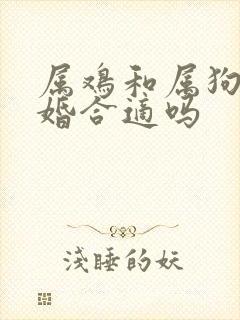 属鸡和属狗的结婚合适吗