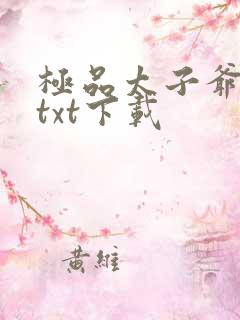 极品太子爷李辰txt下载