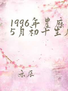 1996年农历5月初十生辰八字