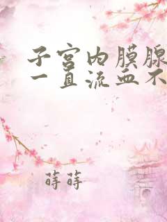 子宫内膜腺肌症一直流血不止怎么办