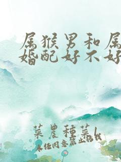 属猴男和属龙女婚配好不好