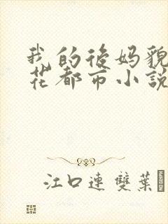 我的后妈貌美如花都市小说