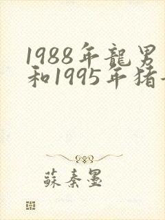 1988年龙男和1995年猪女相配吗