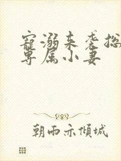 宠溺来袭总裁的专属小妻