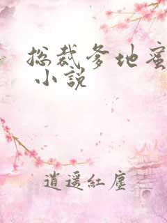 总裁爹地蜜蜜宠 小说