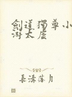 剑道独尊小说剑游太虚