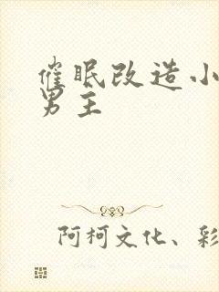 催眠改造小说双男主