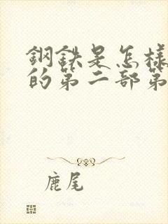 钢铁是怎样炼成的第二部第6章批注