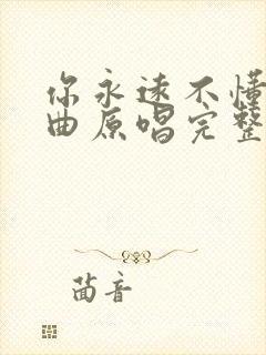 你永远不懂我歌曲原唱完整版