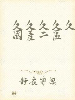 久久久久久久久国产二区