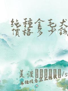 纯种金毛犬幼犬价格多少钱一只