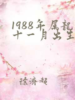 1988年属龙十一月出生命运