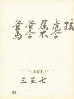 爸爸属虎孩子属马合不合