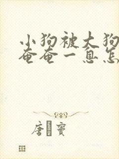 小狗被大狗咬了奄奄一息怎么办