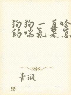 狗狗一直哈哈哈的喘气是怎么回事