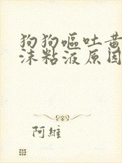 狗狗呕吐黄水泡沫粘液原因