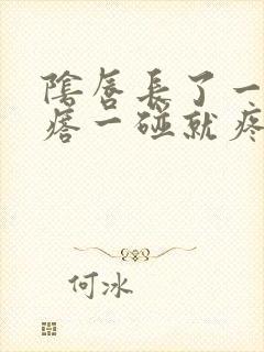 阴唇长了一个疙瘩一碰就疼