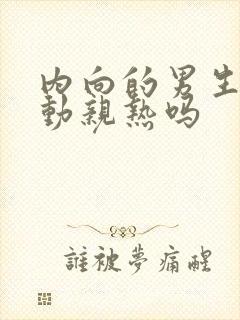 内向的男生会主动亲热吗