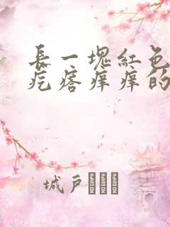 长一块红色的小疙瘩痒痒的