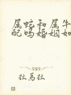 属蛇和属牛的相配吗婚姻如何