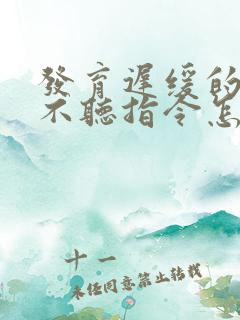 发育迟缓的孩子不听指令怎么办