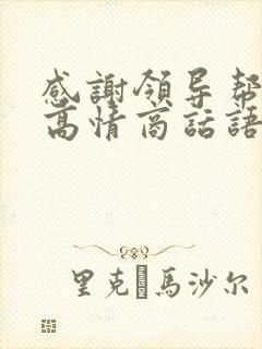 感谢领导帮助的高情商话语怎么说