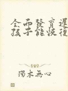 全面发育迟缓的孩子能恢复正常吗