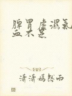 脾胃虚湿气重气血不足