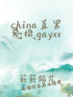 china直男飞机gayxx