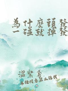 为什么头发轻轻一碰就掉发