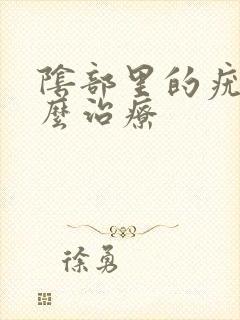 阴部里的疣湿怎么治疗