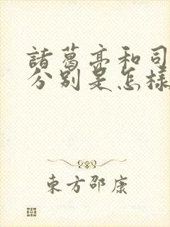 诸葛亮和司马懿分别是怎样的人